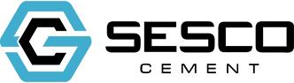 Datapoint Logo